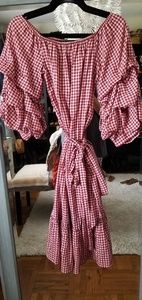 Adorable Zara red gingham dress